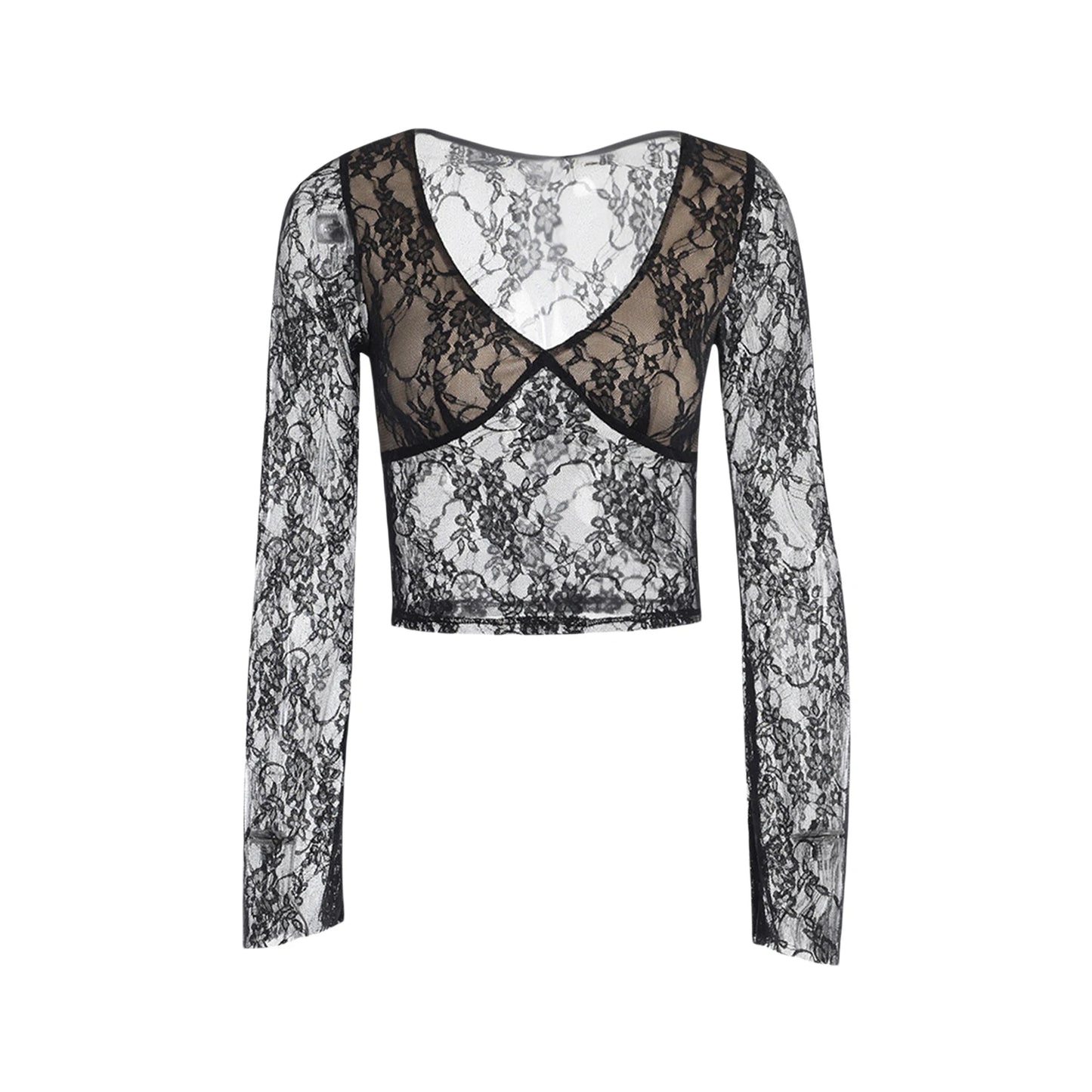 Lace Fairy Grunge V-neck See-Through Sheer Slim Fit Stylish Elegant Trendy Classic Crop Top