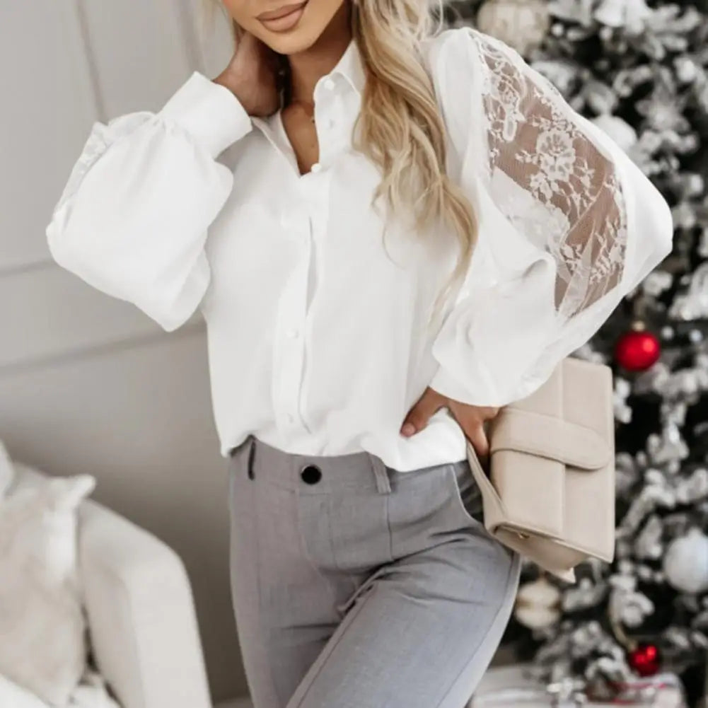 Women Shirt Lace Embroidery Long Sleeve Turn-down Collar Commute Blouse